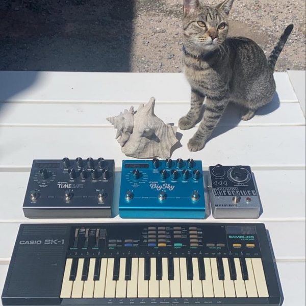 Tabby cat, conch shell, guitar pedals (Strymon TimeLife and Big Sky, Death By Audio), Casio SK-1 sampling keyboard