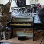 Tabby cat on left, gray cat on right; midified toy piano with springs. Modular synthesizer in the back