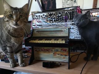 Tabby cat on left, gray cat on right; midified toy piano with springs. Modular synthesizer in the back