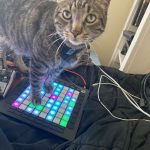 Gerty and Novation Launchpad