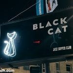 Wordless Wednesday: Black Cat