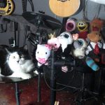 Nico, Alesis Electronic Drums and Guitars