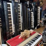 Mr Maximillion and Wall of Synths
