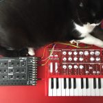 Tinto, Moog Werkstatt, Arturia MicroBrute Red