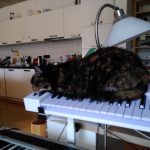 Hermine and MIDI Controller Keyboard