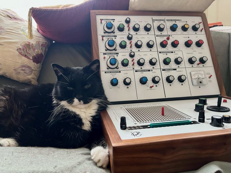 Tuxedo cat sitting next to an analog synthesizer, a modern version of the Synthi VCS3 built from a kit and custom parts.