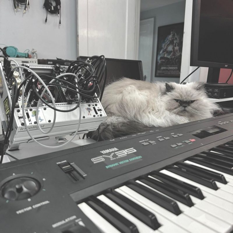 Persian cat sitting behind a keyboard synthesizer "Yamaha SY35" and next to a small modular synthesizer