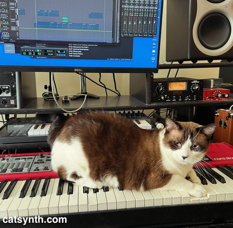 Brown and white cat sitting on a large red Nord keyboard, depressing some keys.  Behind the cat is a computer screen with an open Pro Tools recording session, a small Arturia keyboard synth, and various pieces of audio gear.