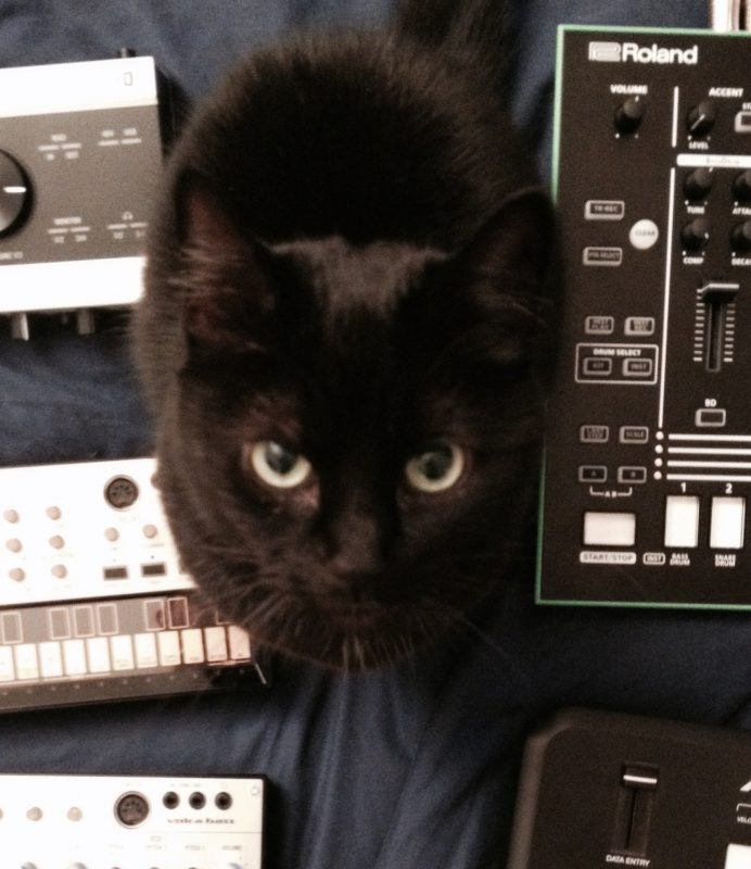 Black cat sitting between various pieces of synthesizer equipment, including to Korg Volcas on the left and a Roland TR-8 on the right.  She is staring straight upwards at the camera.