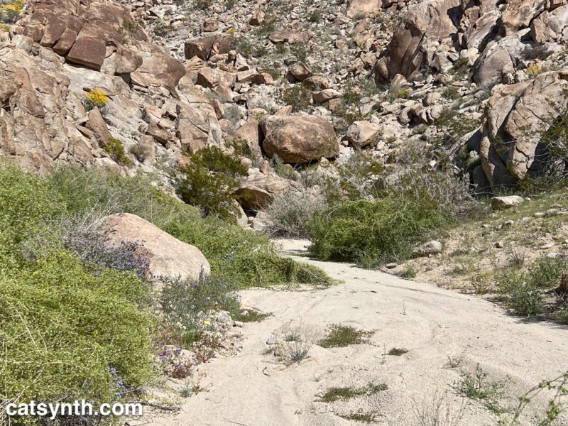 Looking towards a rocky hillside in the desert.  A small sandy wash is in front, with vegetation to either side.