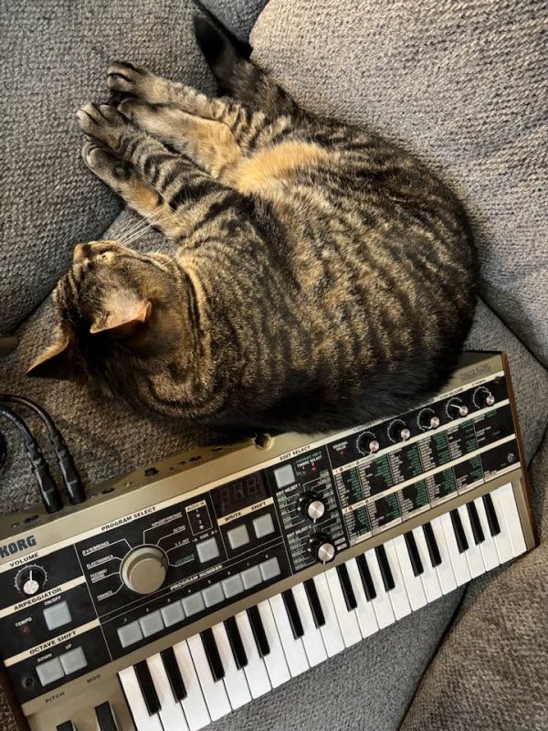 Tabby cat lying next to a small keyboard synthesizer - Korg MicroKorg