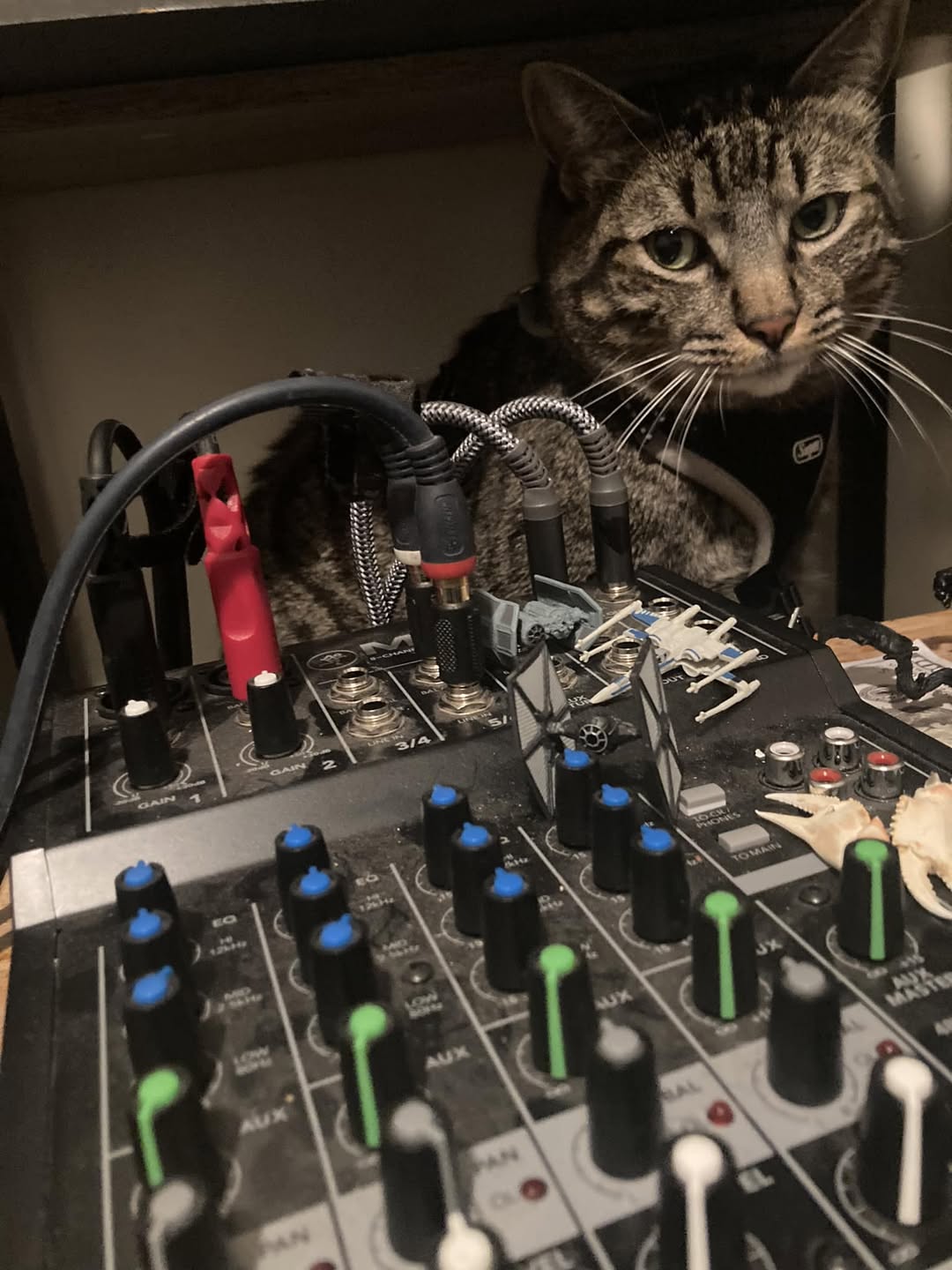 Gerty in the Studio