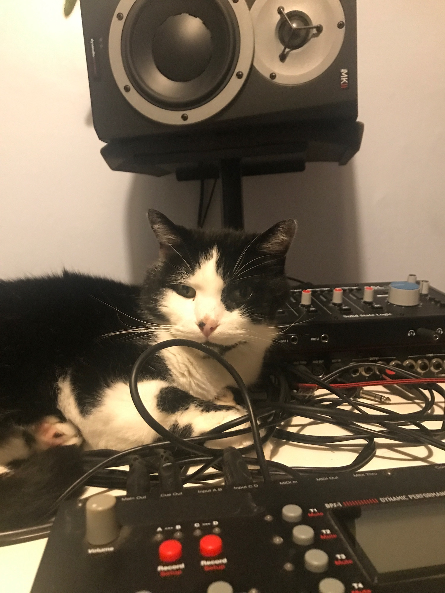 Cutty and Elektron Octatrack