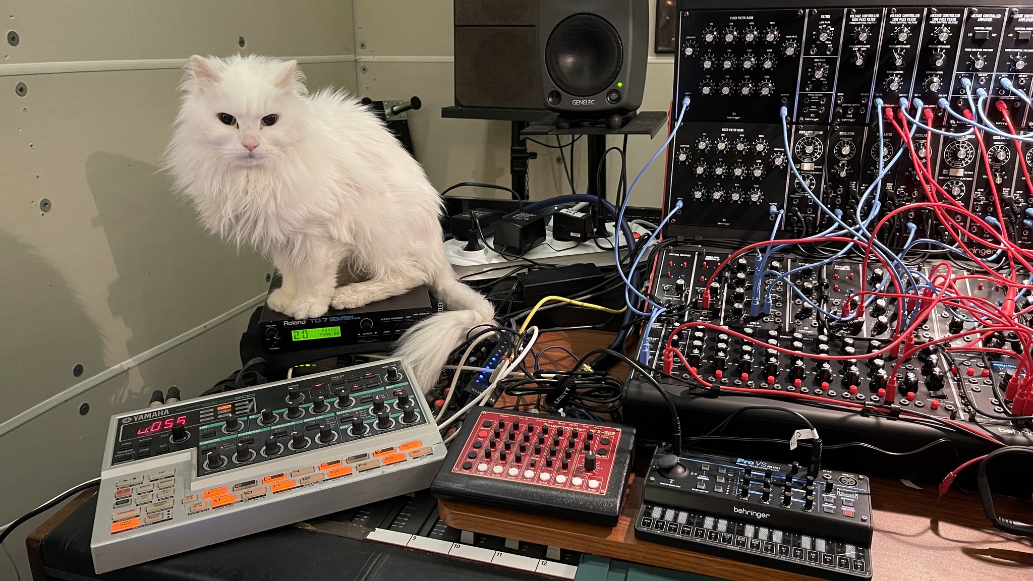 Jazzy, Yamaha DX200, Behringer Pro VS and Modular, MFB