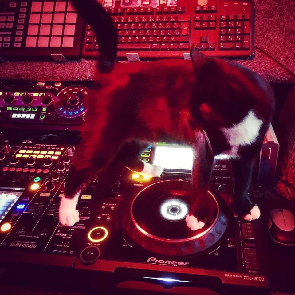 Timine and and Pioneer DJ