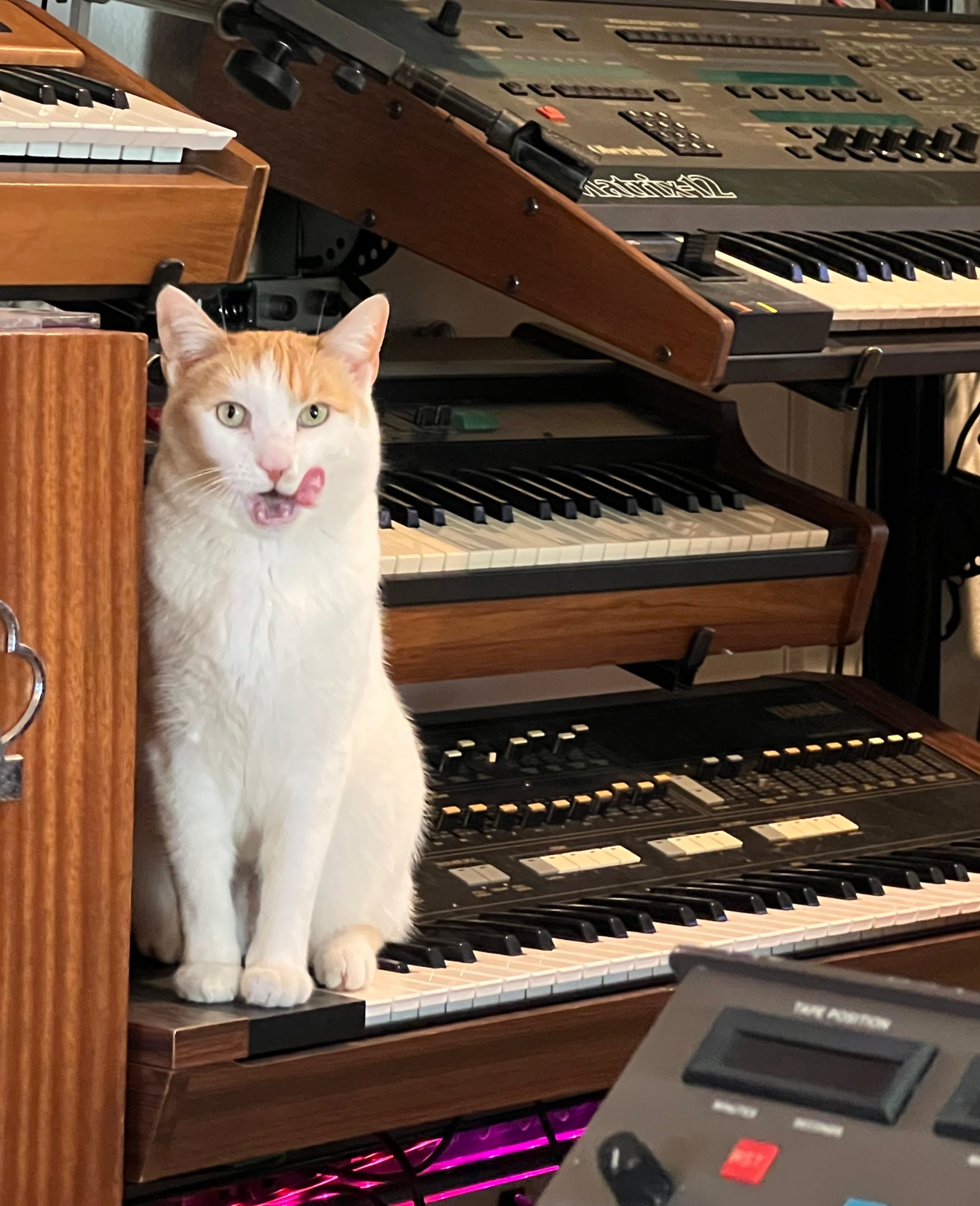 Kacie in the Studio (Oberheim and Yamaha)