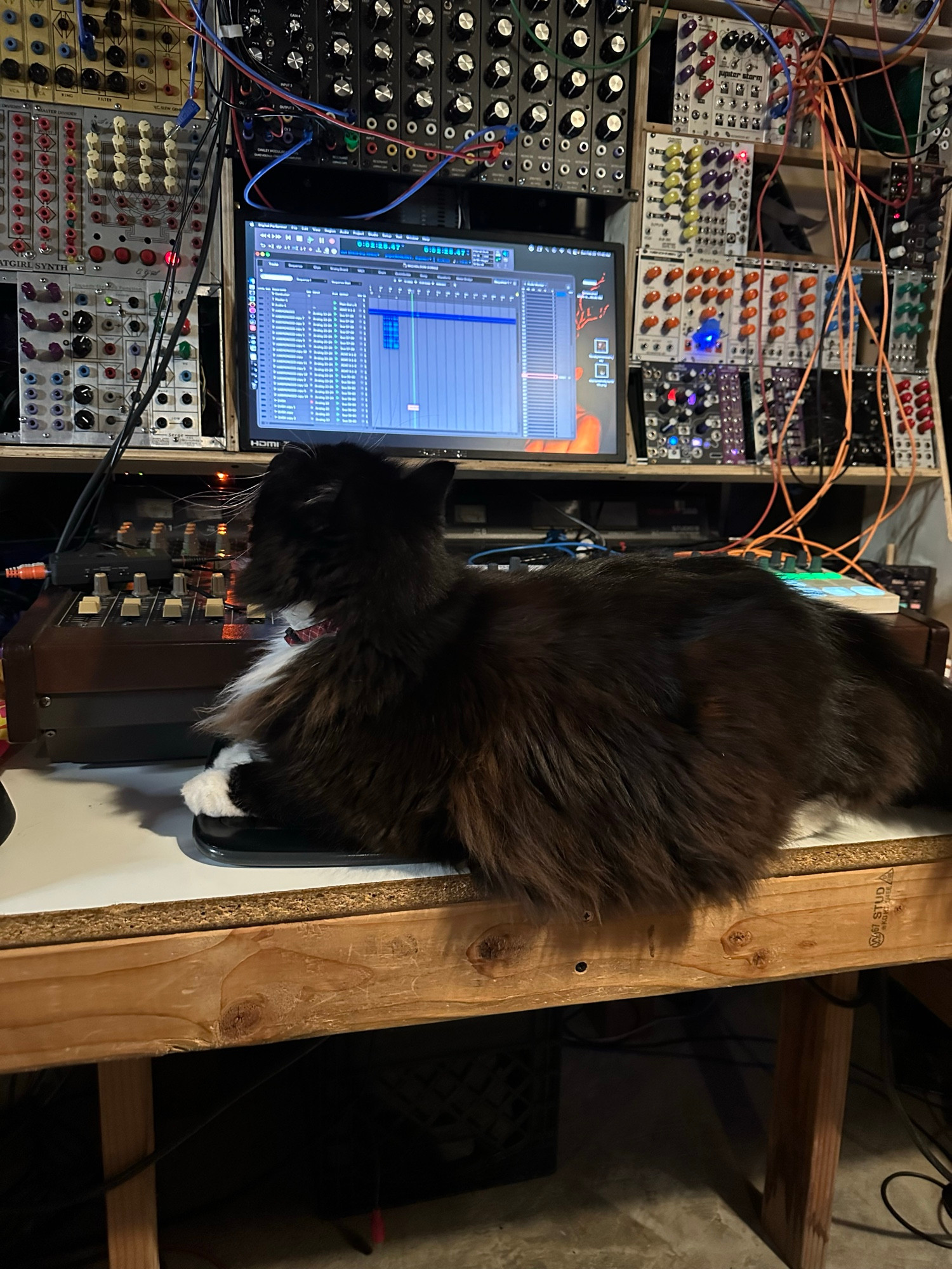 Sylvester and Modular