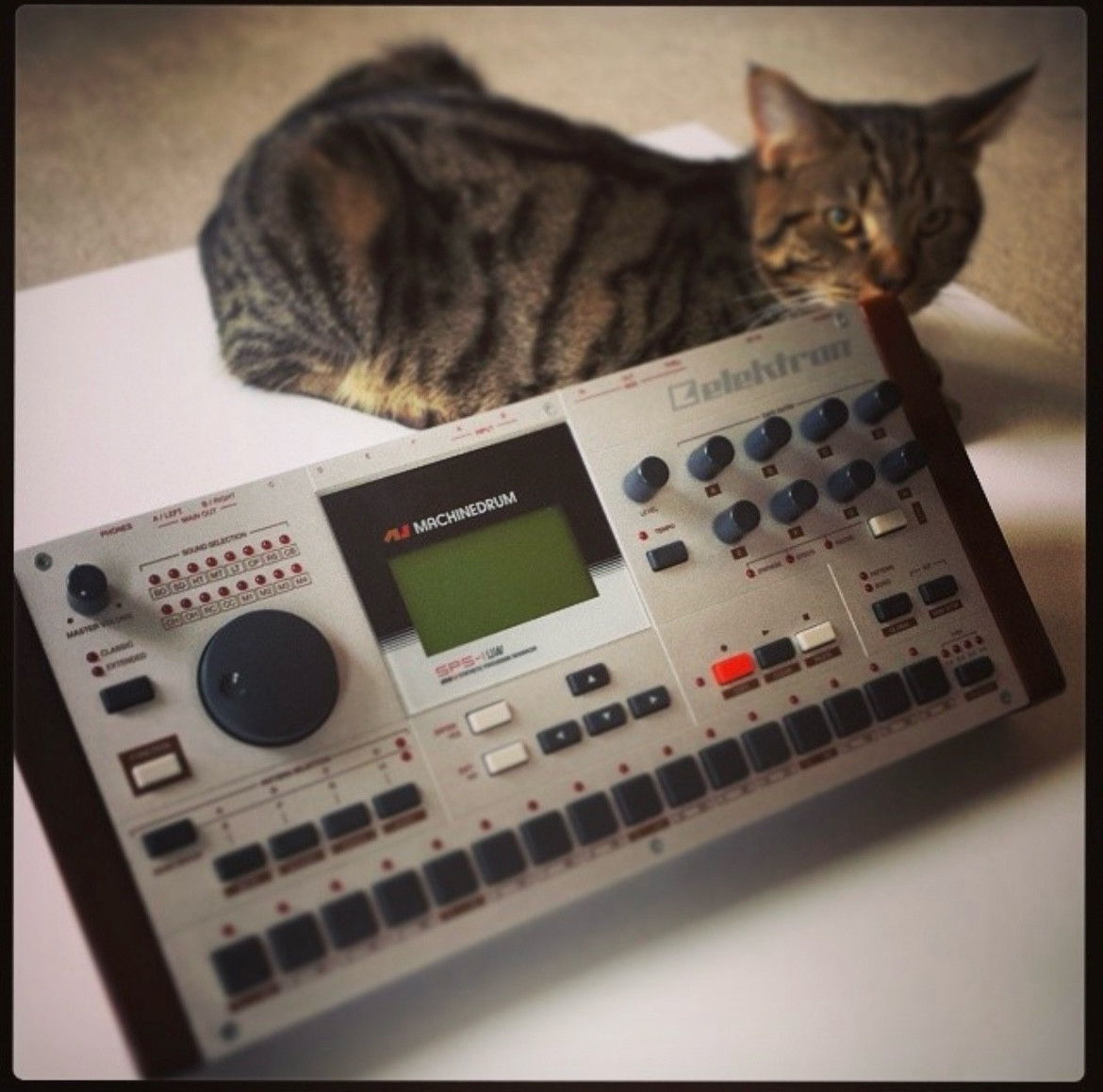 bafkreigvnzuc5nqpvqoww4jbtxgoe