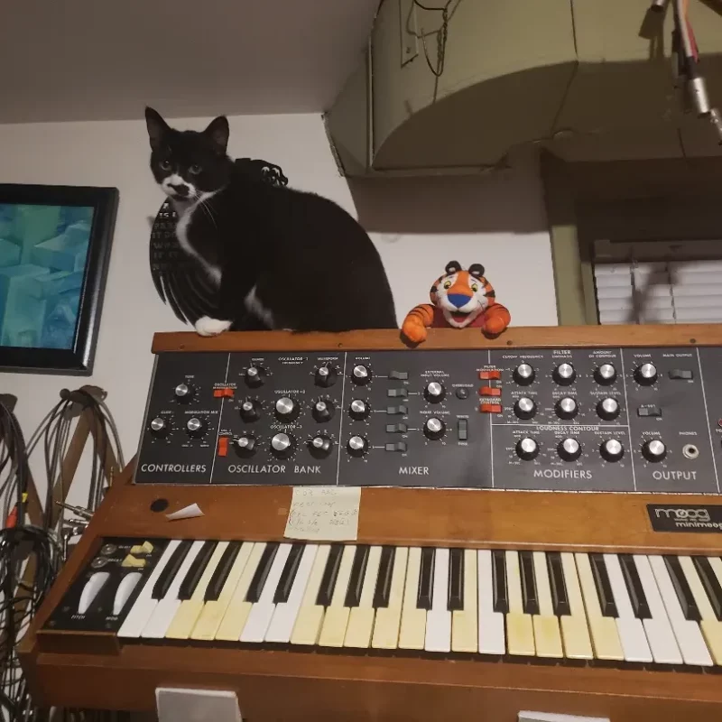 Tuxedo cat sitting on top of a MiniMoog synthesizer.  There is also a small stuffed "Tony the Tiger"