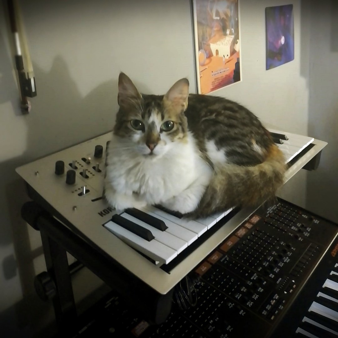 Leia, Korg Minilogue, Behringer Odyssey