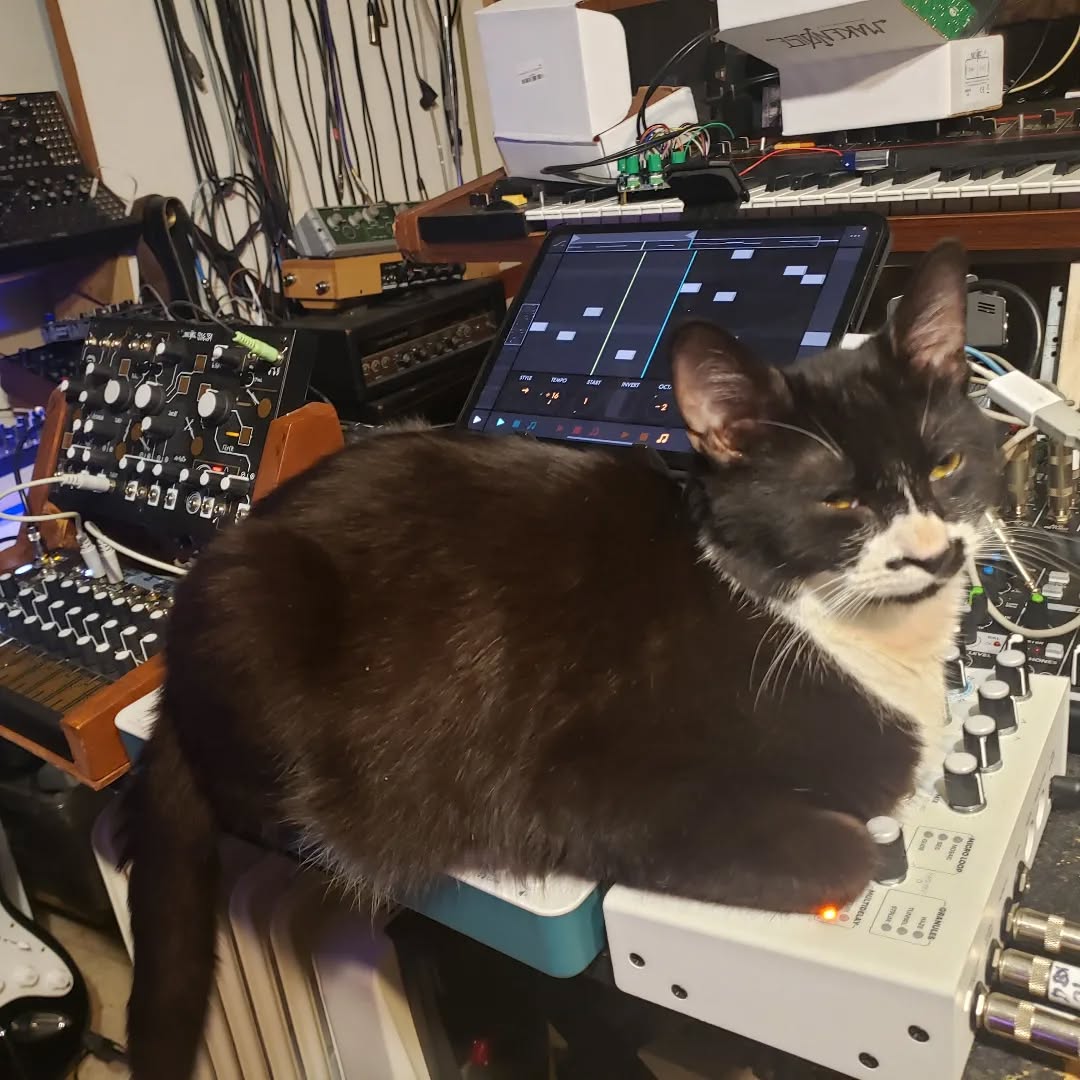 Practice is Over (Triangle Synth Party)