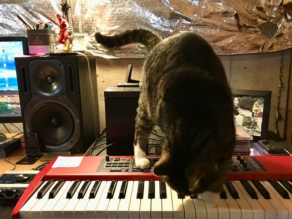 Monty in the studio