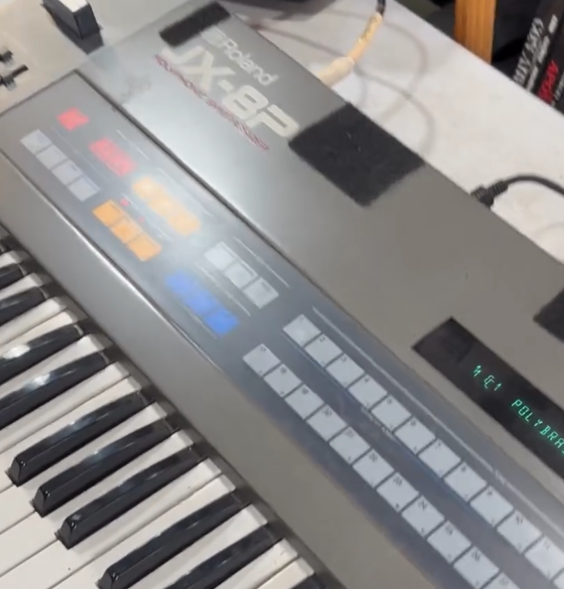 Roland JX-8P with Ansel and Olive