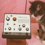 Cat looking at a Stylophone theremin