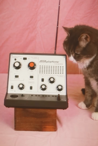 Cat looking at a Stylophone theremin