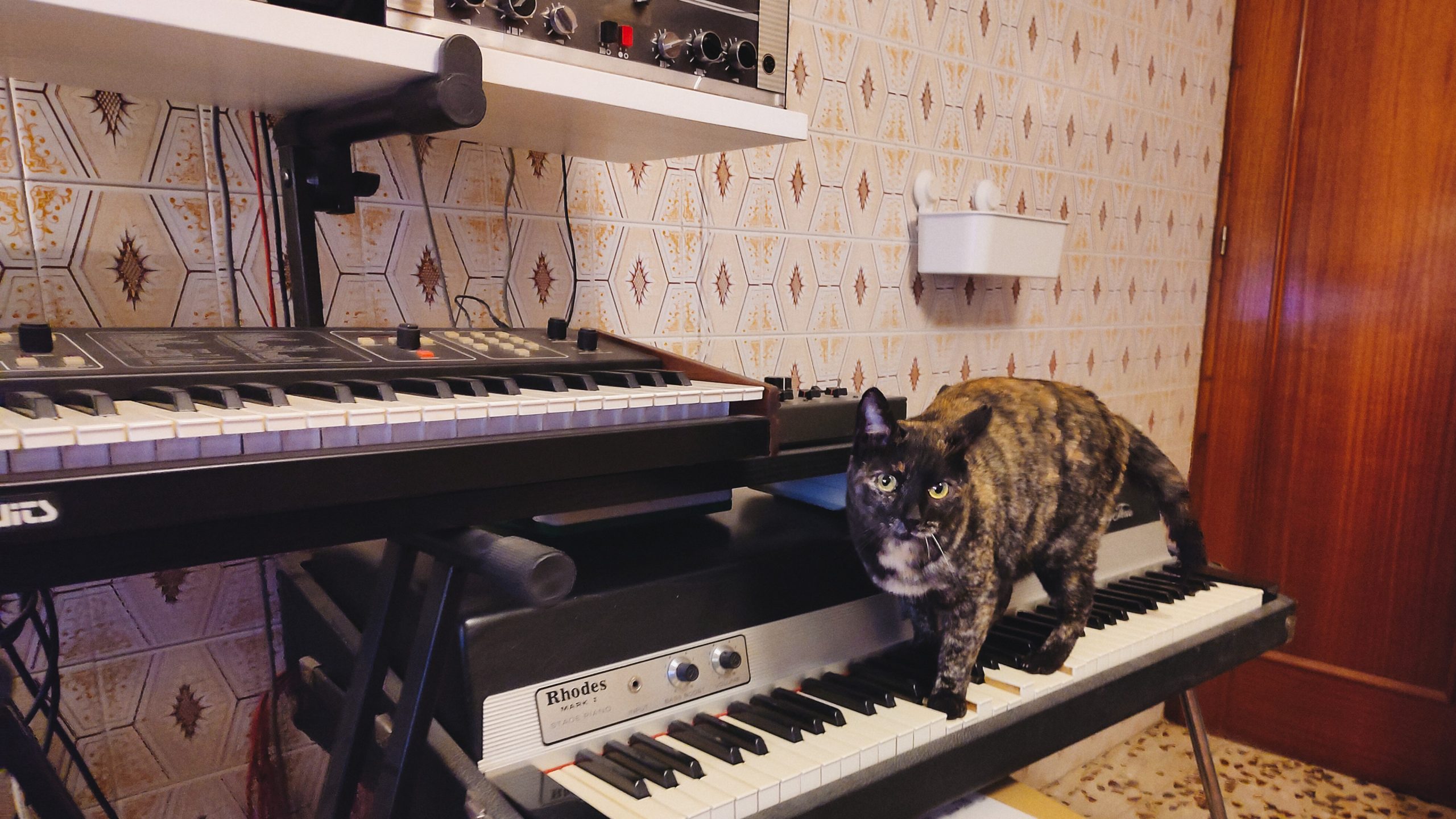 Rubia, Rhodes Mark I Piano, Sequential Six-Trak