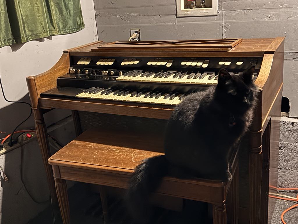 Endiku and Hammond M-111 Organ
