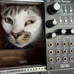 Cat peeking from behind a Eurorack modular synthesizer with a Qu-Bit Prism module