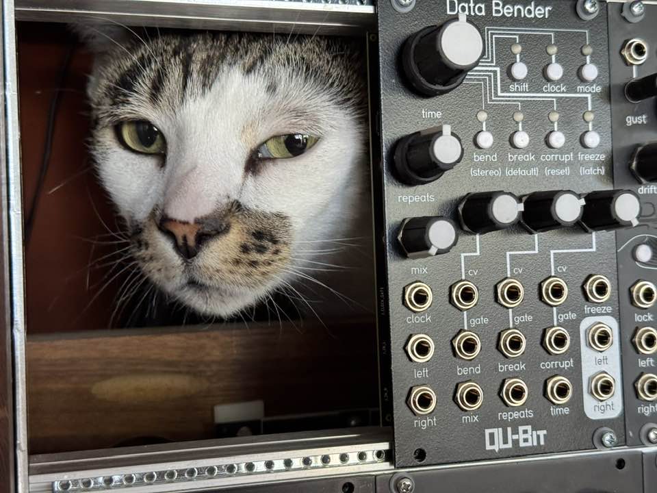Cheetah and Qu-Bit Data Bender