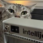 Tabby cat inspecting an intellijel Eurorack modular case.