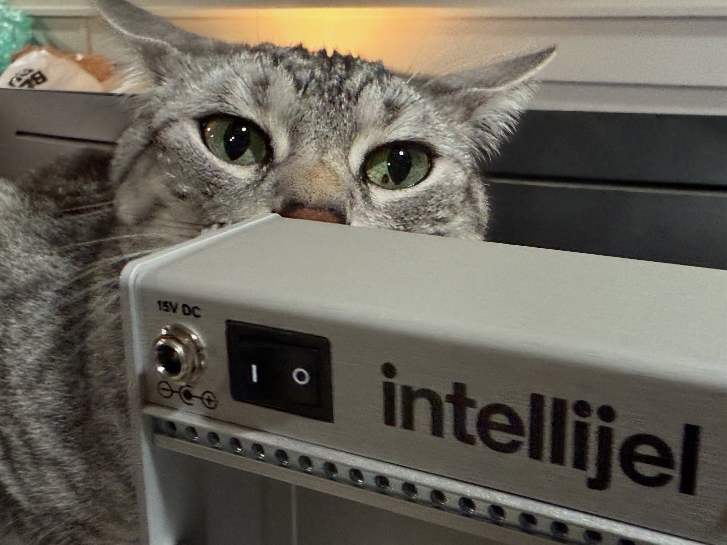 Haku and Intellijel Palette 62