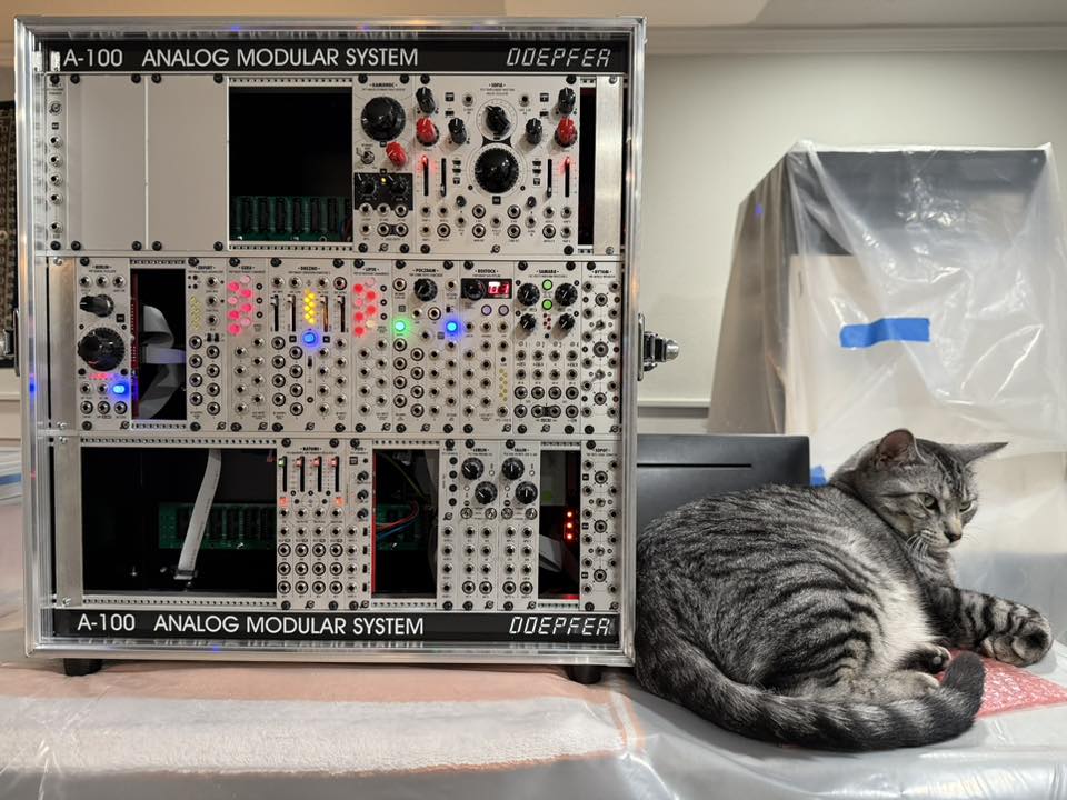 May 2025 - CatSynth