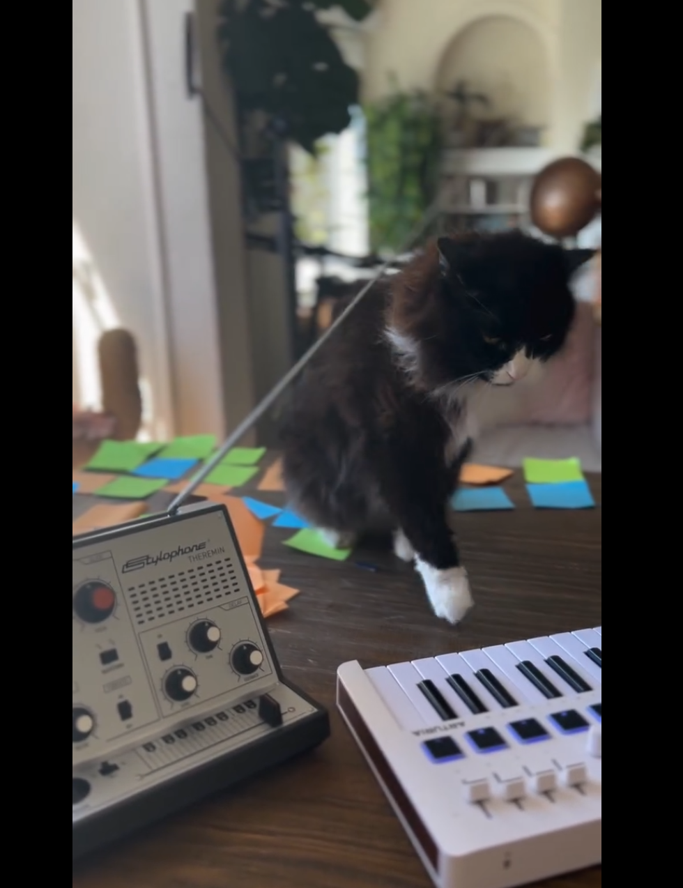 Tony and Frankie and Stylophone Theremin