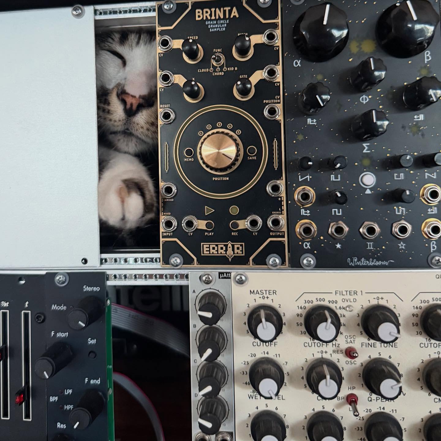 Cheetah, Error Instruments Brinta, Winterbloom Castor & Pollux