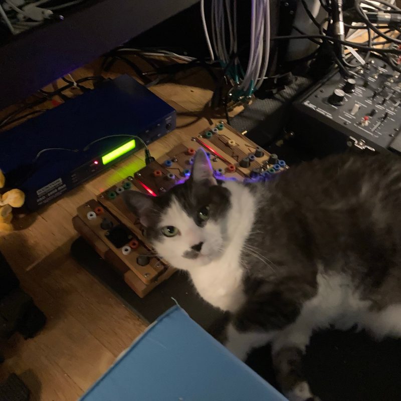 A black and white, domestic short hair/mix cat lays on his side facing the camera. He is leaning on a Cocoquantus 2, a synthesizer/effects device made of wood with many colorful banana jacks. Also an ARP 3620 keyboard in the background.