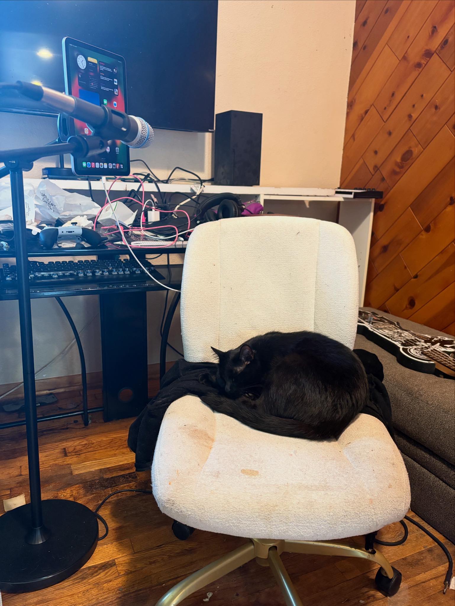 Ember in the Studio