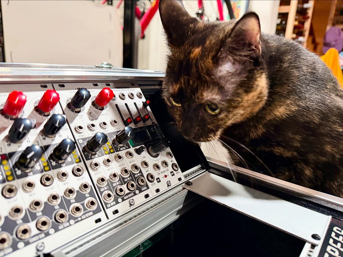 Chichiro and XAOC Devices modular