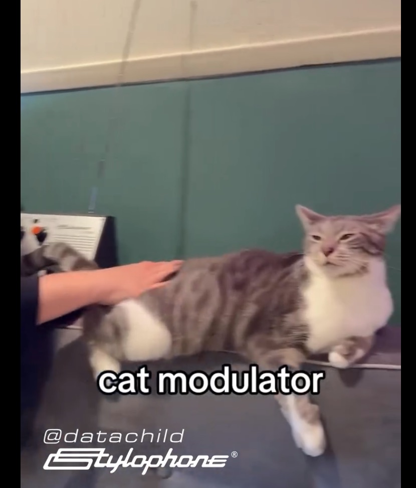 Cat Modulator (Clarita & Stylophone Theremin)