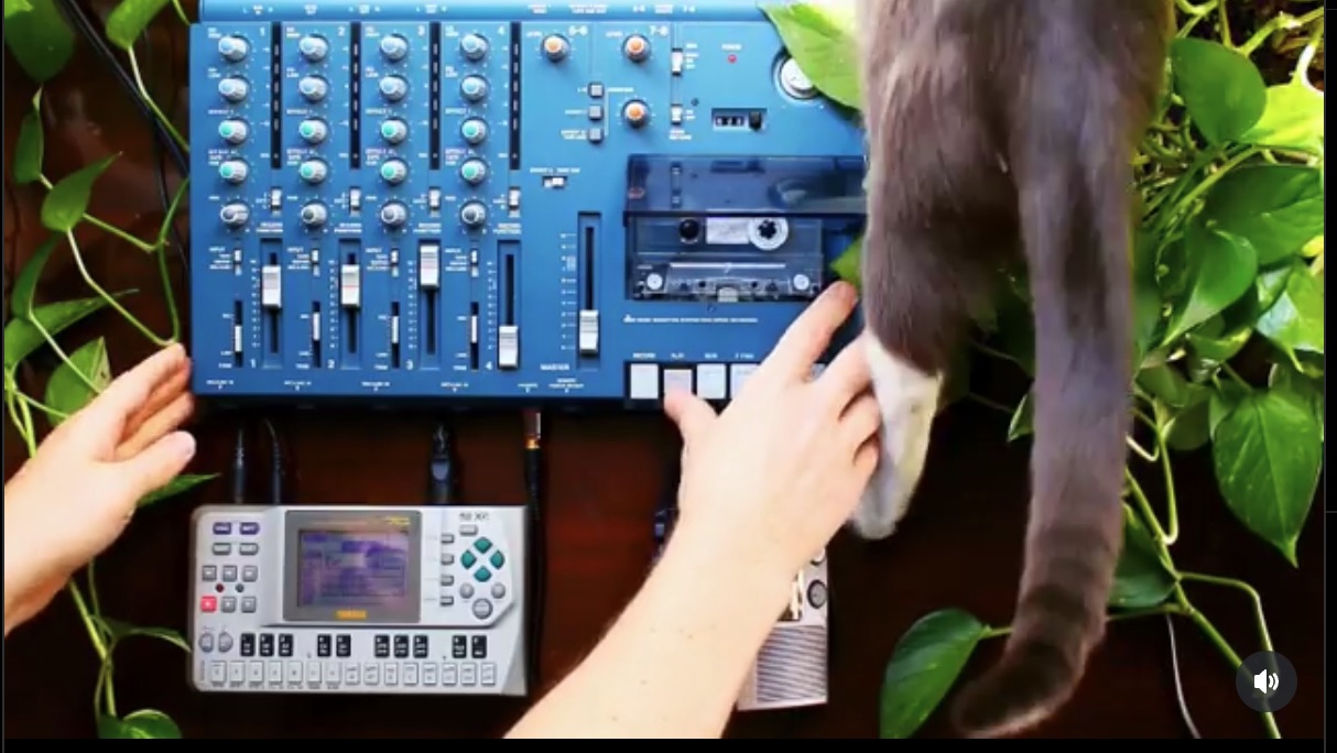 Chords for Cats by BlankerFor.ms (Ambient Synth and Tape)