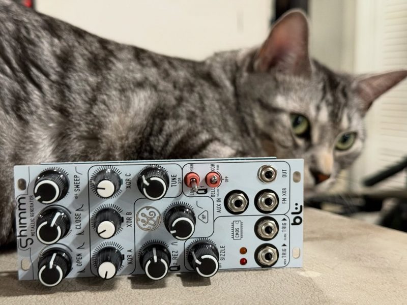 Tabby cat with a Eurorack module from Blue Lantern on its side.