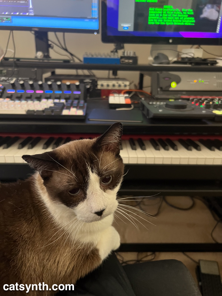 Big Merp assists in the studio