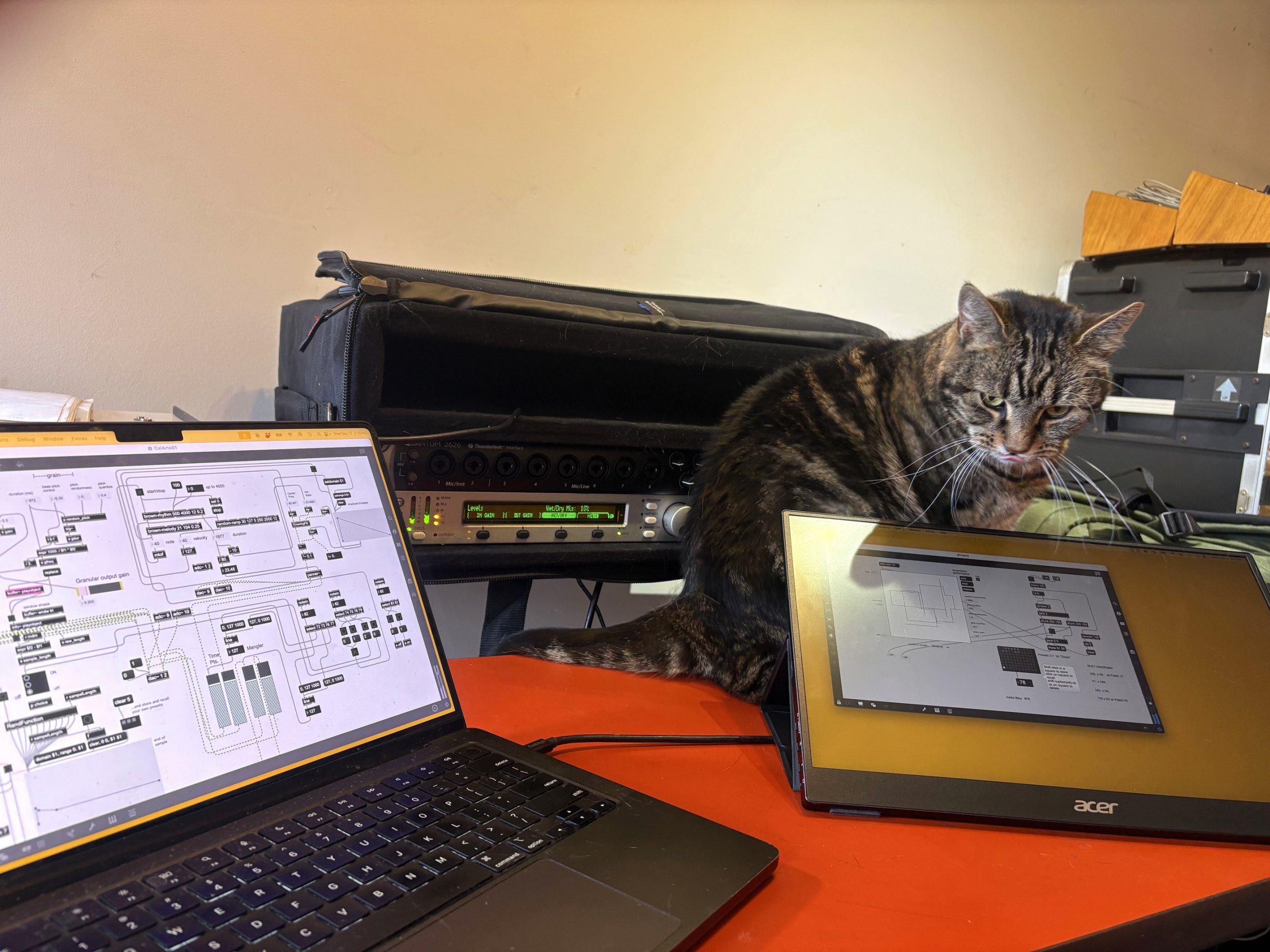 Coco and Max/MSP