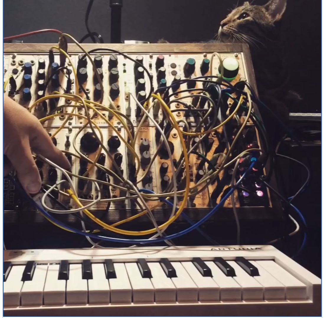 Cat Modular Jam