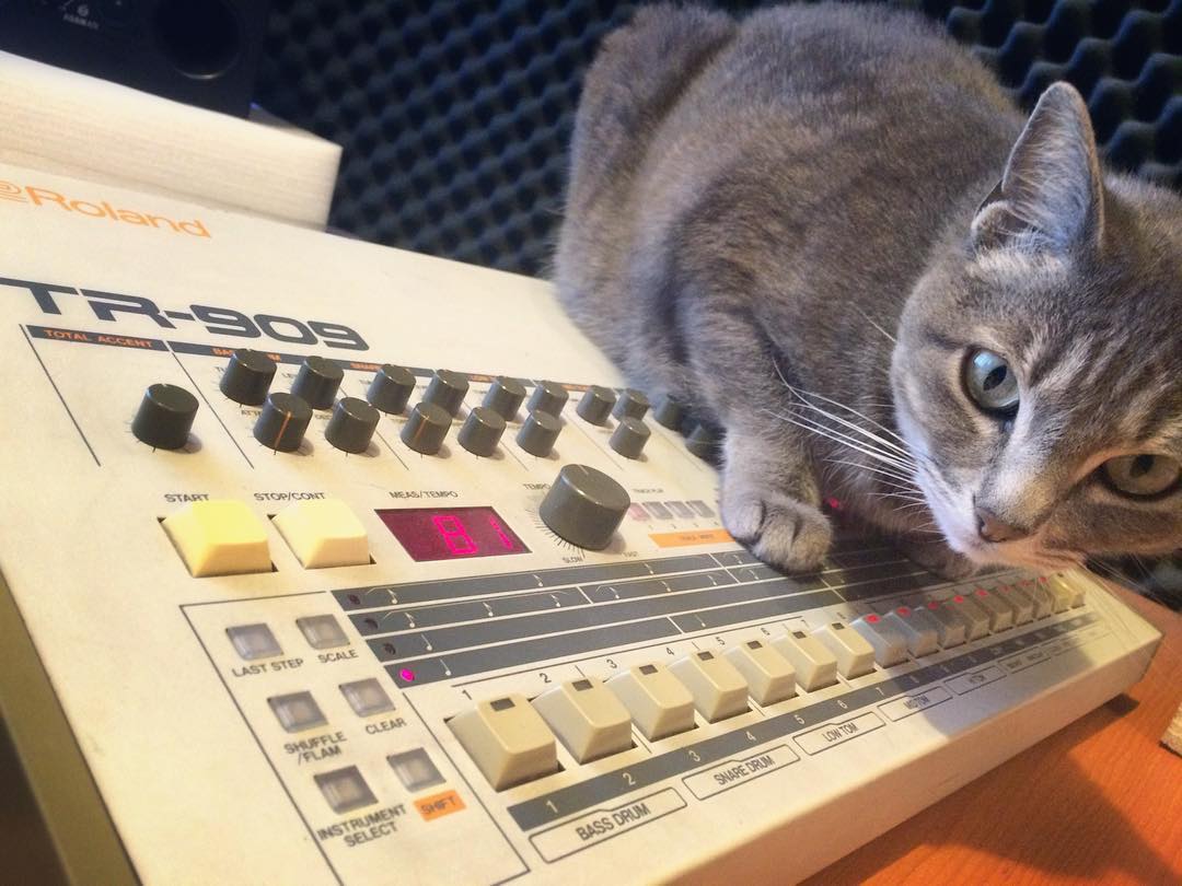 Figaro and Roland TR-909