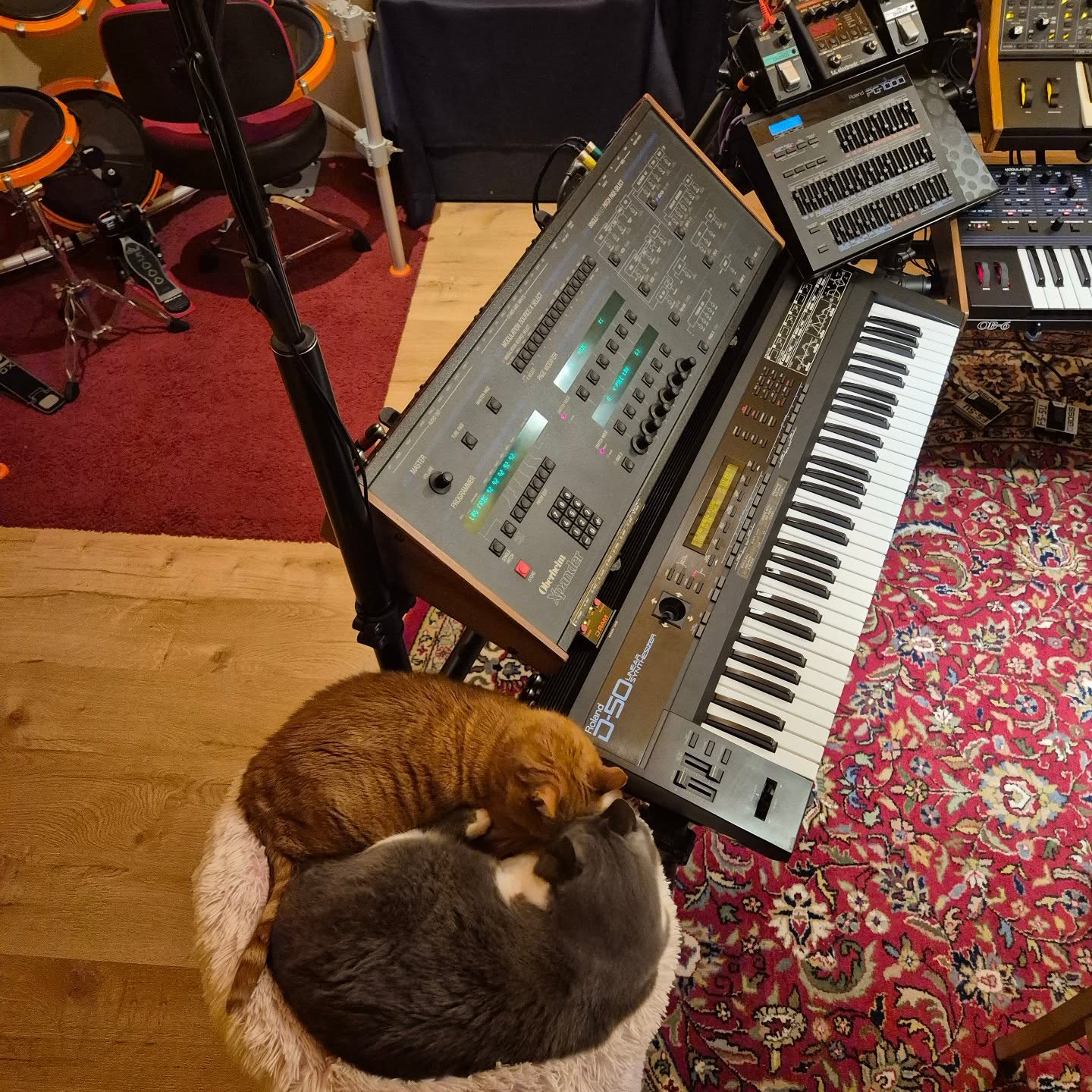 Selma, Tommy, Oberheim Xpander, Roland D-50