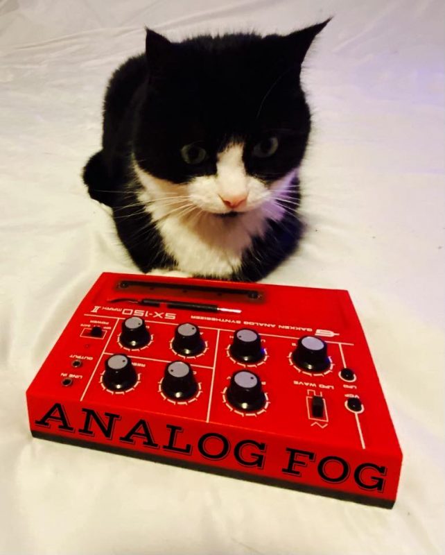 Cat with small red synthesizer.  The words "Analog Fog" are written on the side.